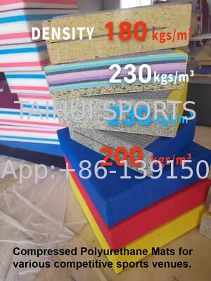 Event Grade Judo Mat 230kgs/m3 40mm Dikte PU Leer Karate Training Mat Worstelen Taekwondo Mat